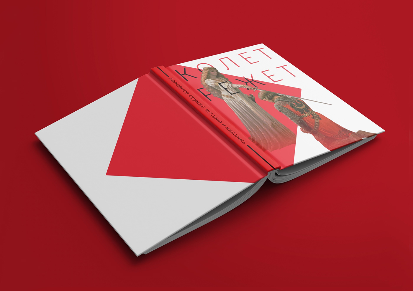 design book design cover typography   книга visual research book InDesign