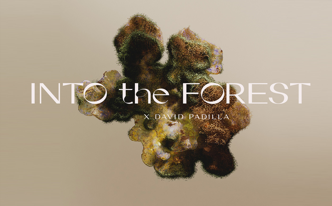 3D abstract CGI cinema4d forest Fungi houdini Nature organic vegetation
