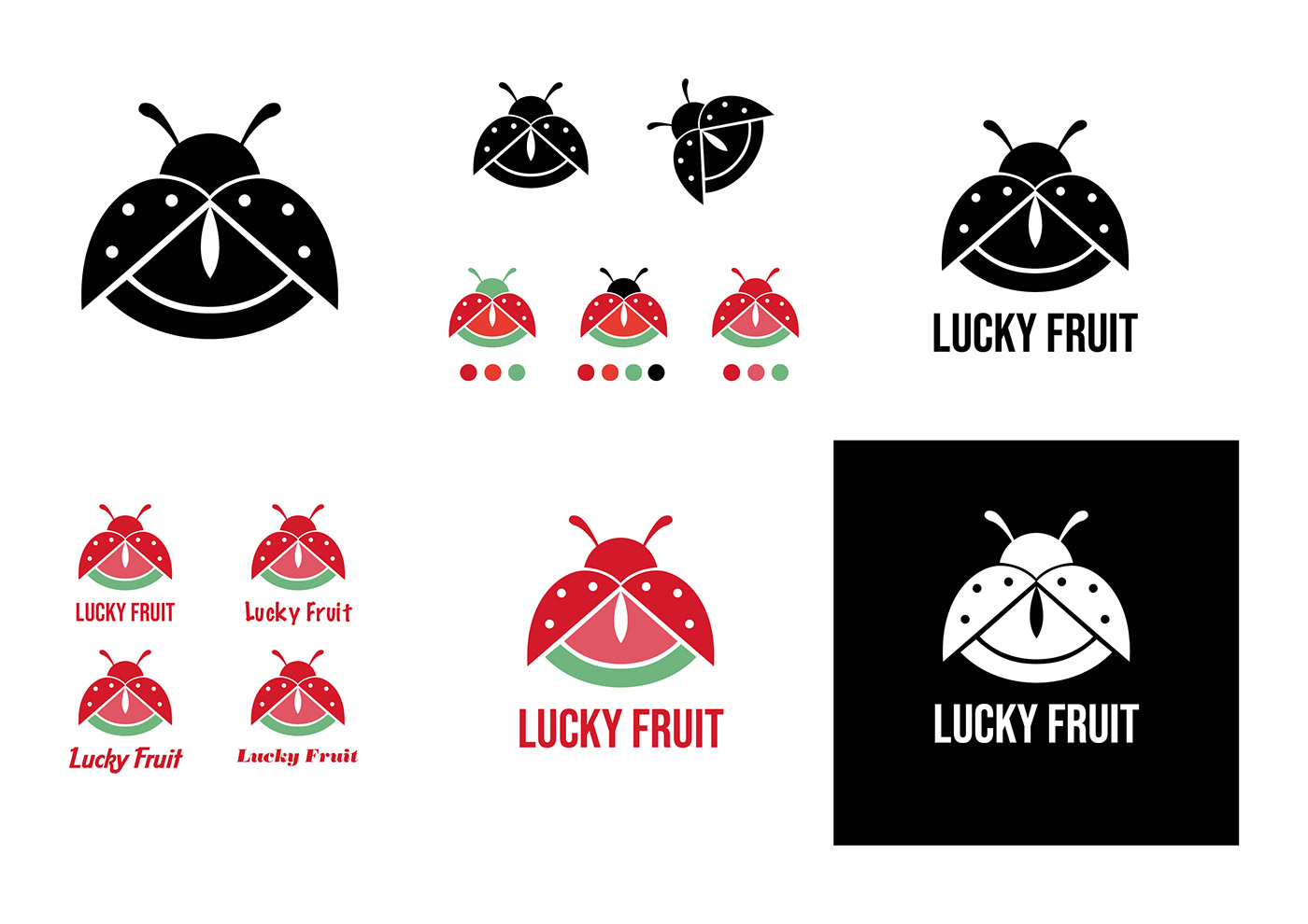 branding  shop Logo Design brand identity Graphic Designer copywriter campaign marketing   corporate Fruit