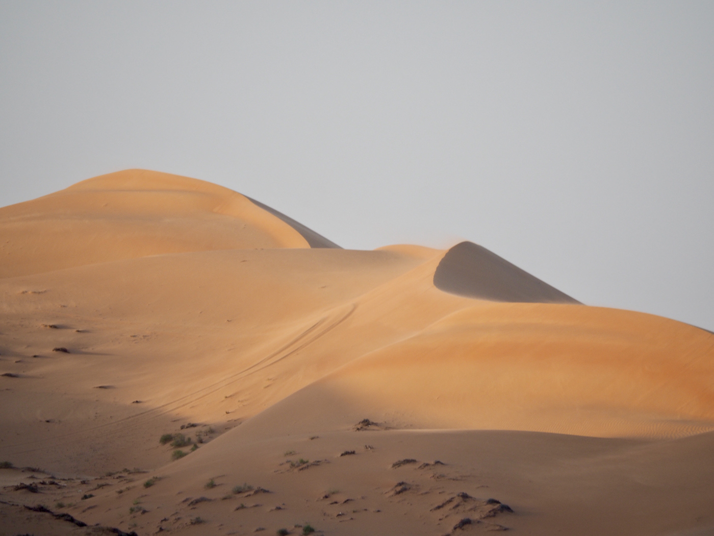 Wahiba. desert. Oman.
