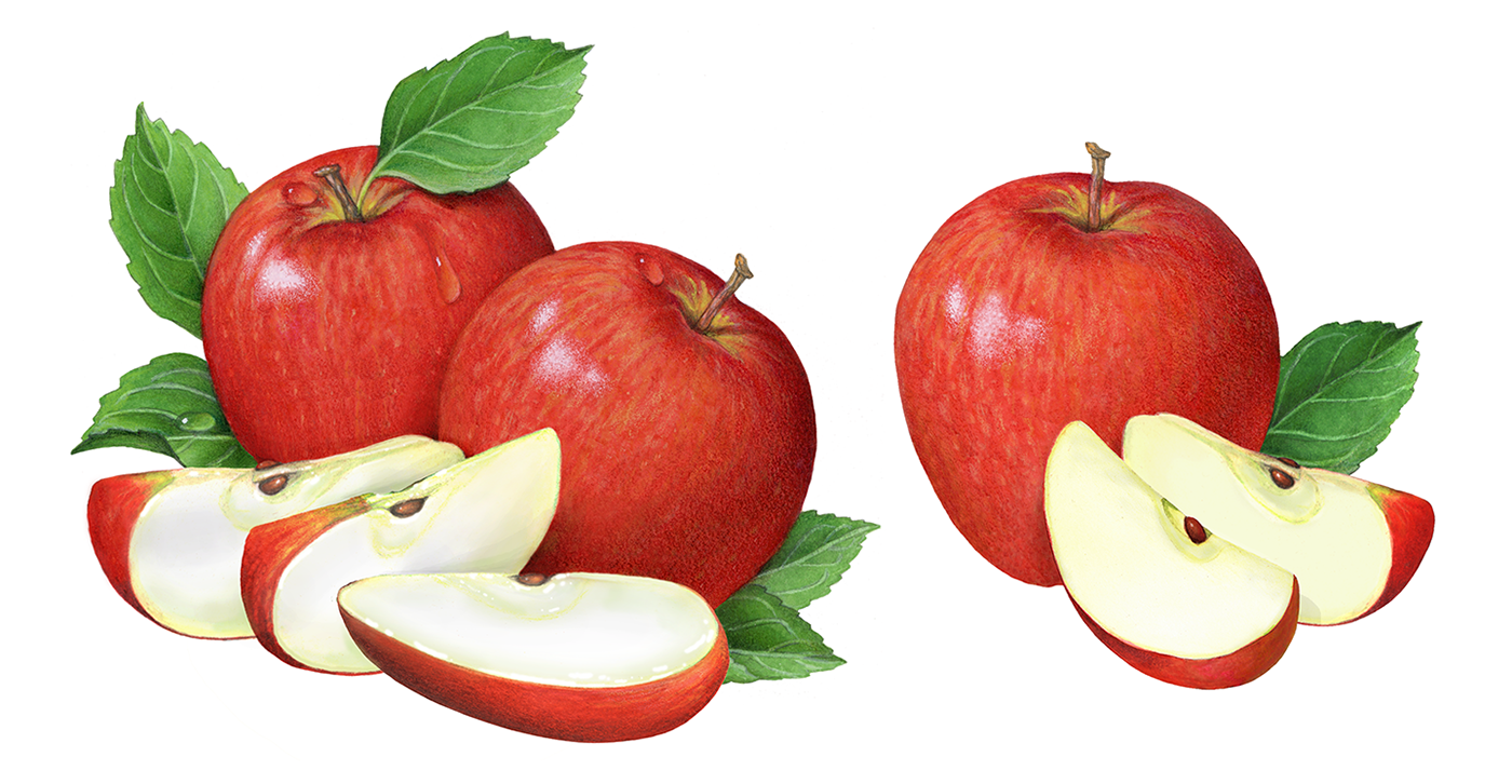 Illustrations of red apples with apple slices and leaves.