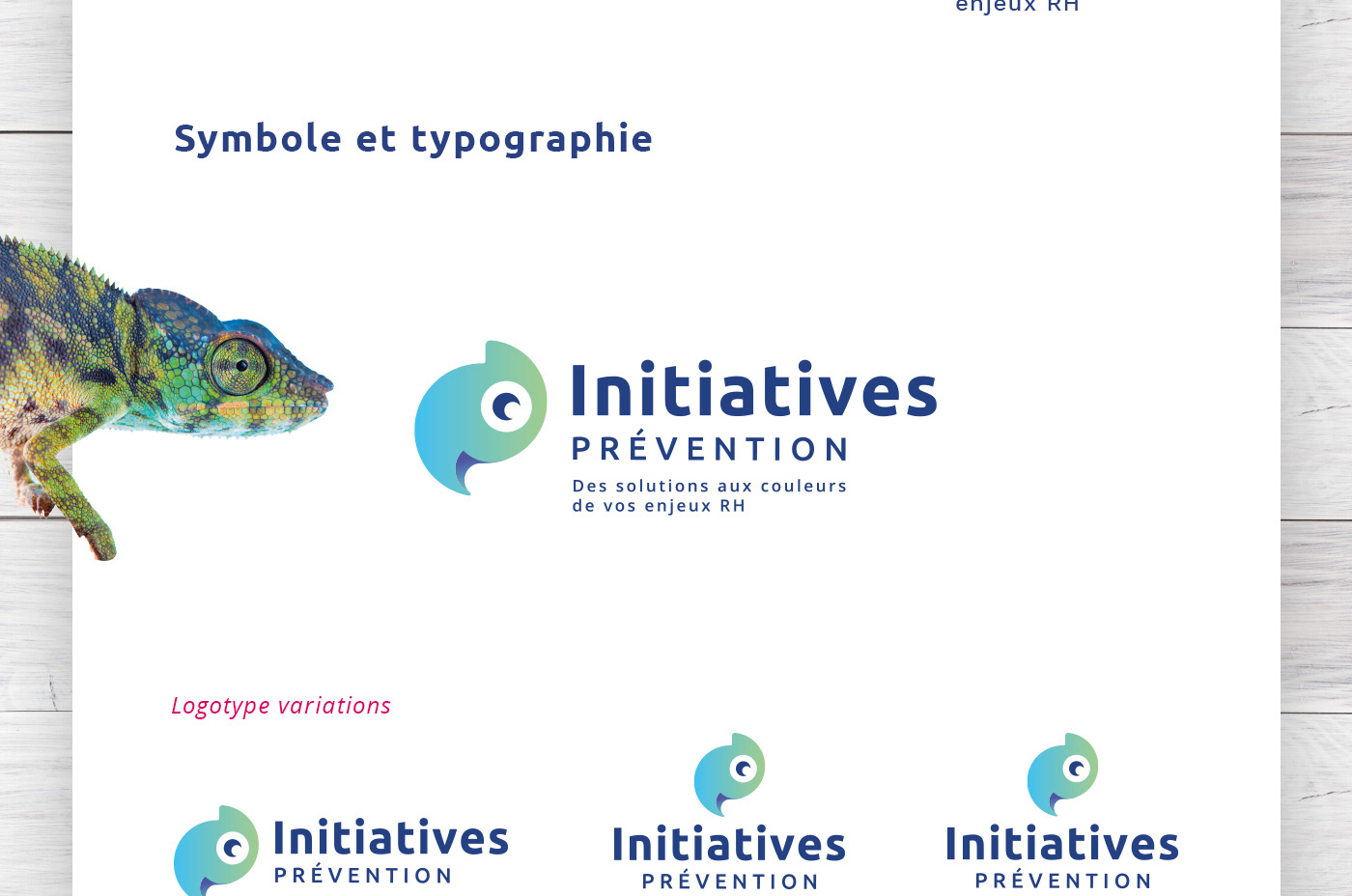identité visuelle logo initiatives prévention RH ressources humaines charte graphique extrait solutions enjeux couleurs