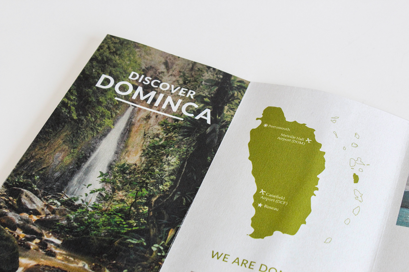 Web Design  brochure design Travel Island Nature Dominica branding 
