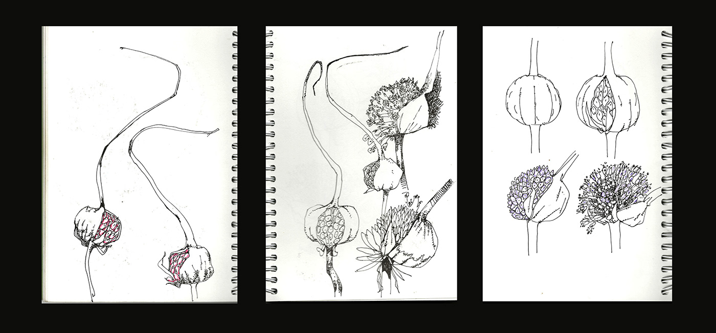sketch sketchbook Drawing  pencil art craft pen inktober traditional ILLUSTRATION 