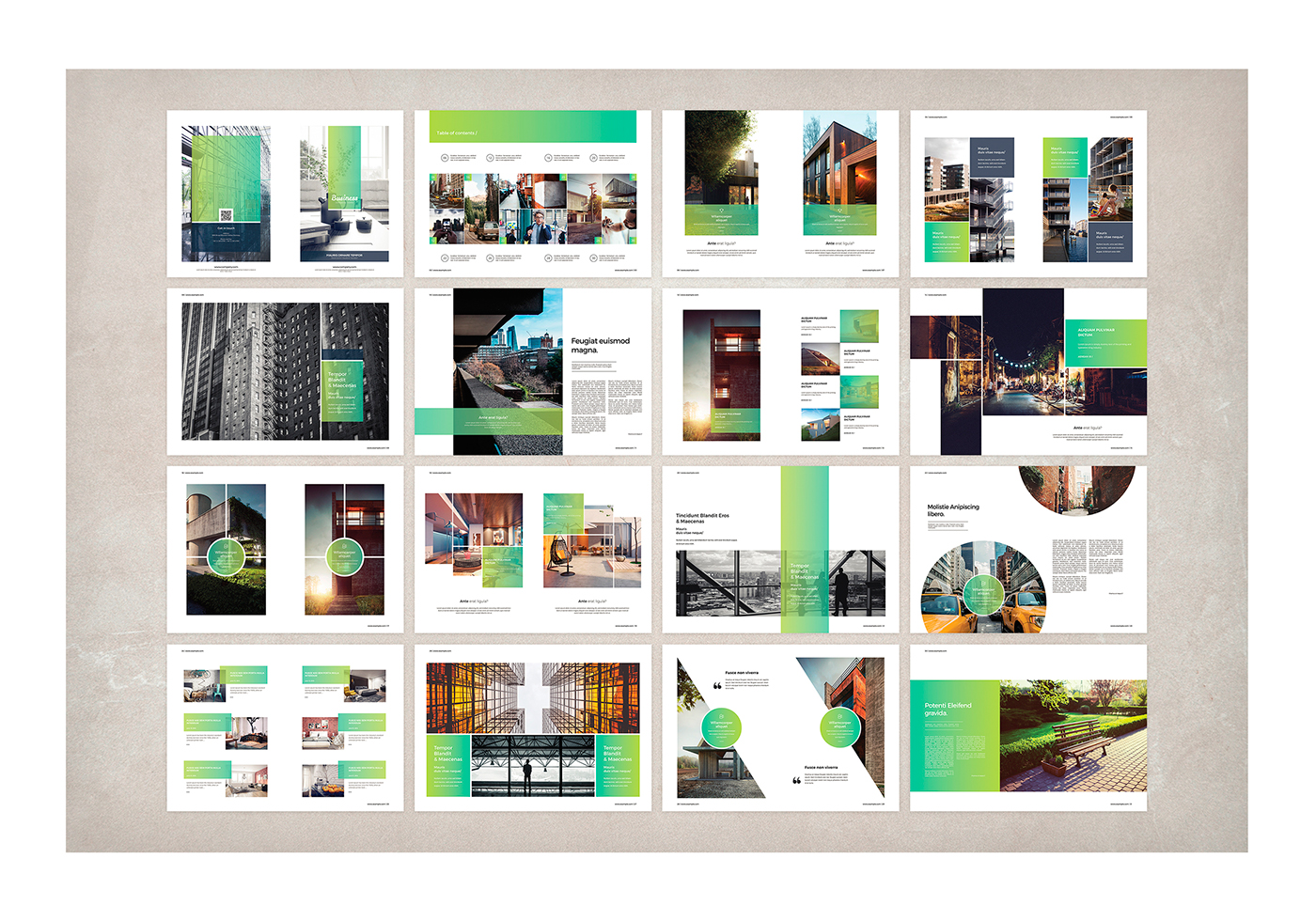 a4 brochure catalog green Multipurpose psd template 8.5x11 business trifold