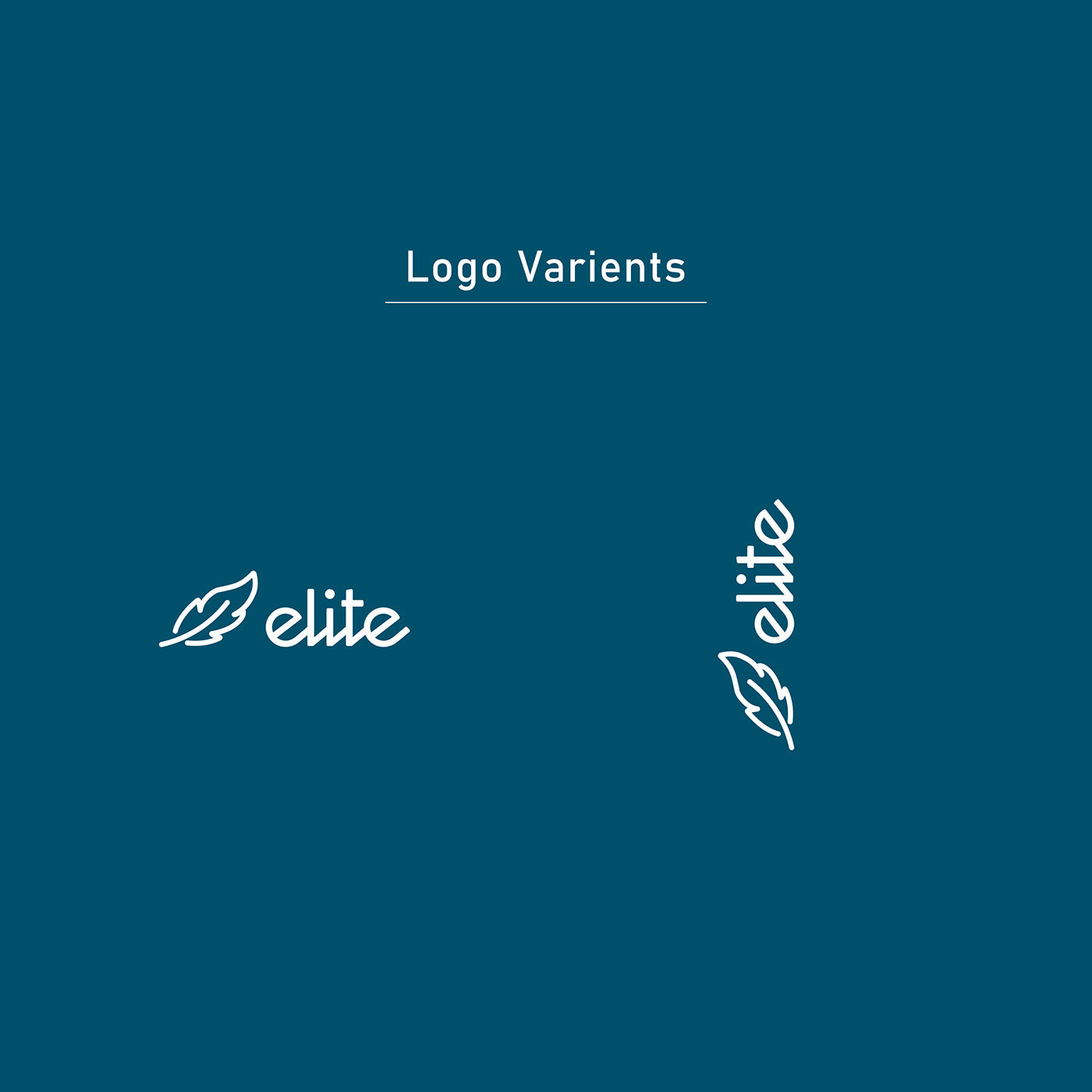 logo branding  Logo Design Logotype logos Graphic Designer logodesigner graphicdesign clothing logo modernlogo