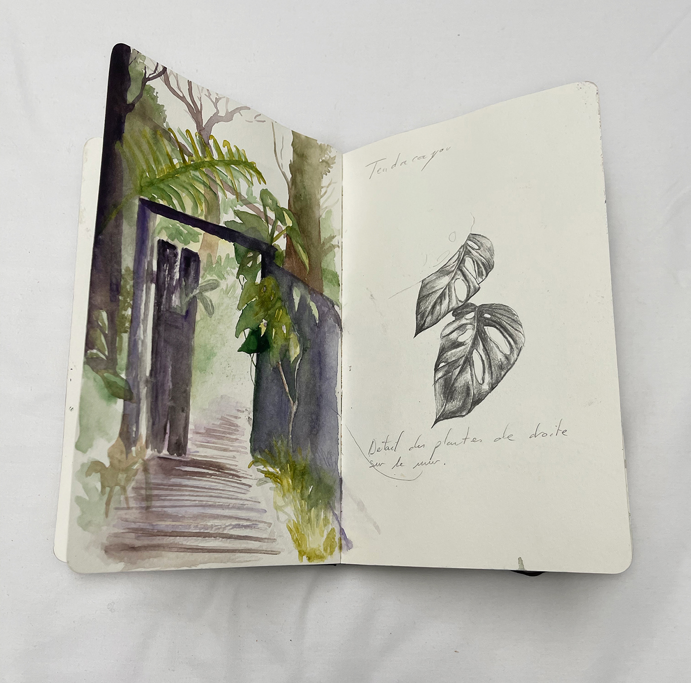 book Diary ILLUSTRATION  Morocco painting   quick sketchbook Travel trip watercolor