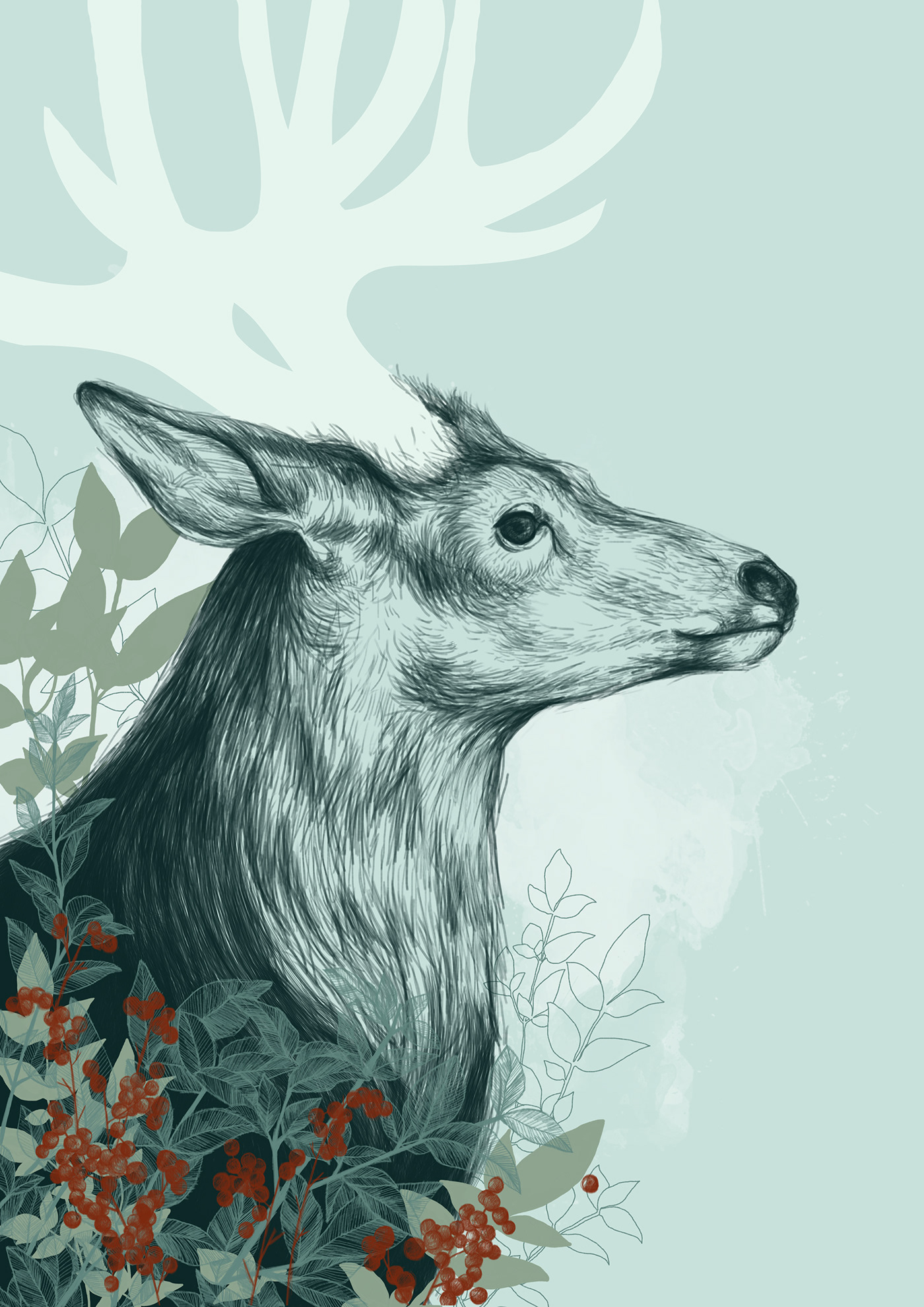 animals deer design Drawing  ILLUSTRATION  monicaldasanz Nature pencil plants digital illustration