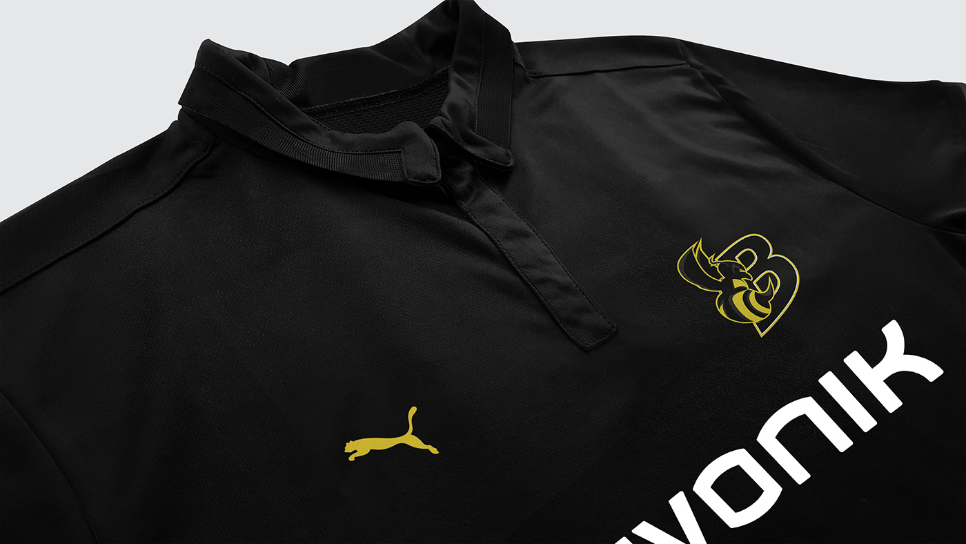 bvb Broussia Dortmund branding  soccer identity logodesign logo