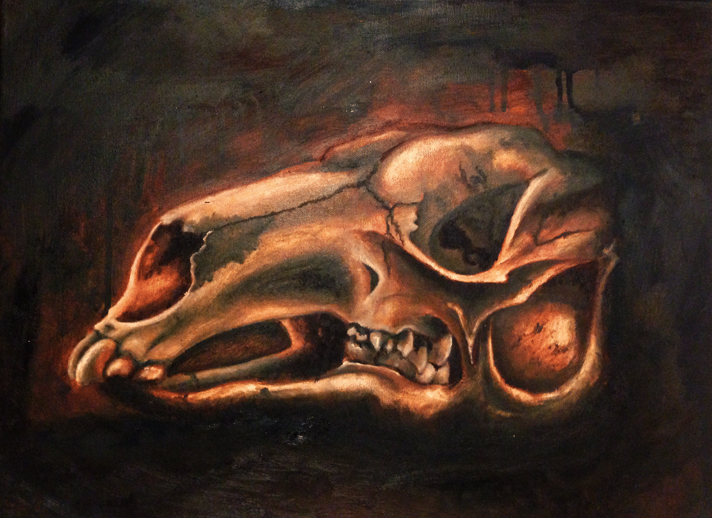 study ILLUSTRATION  Oil Painting skeleton skull bones Drawing 