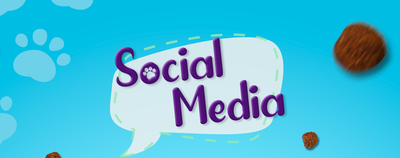 Advertising  design gráfico marketing   post publicidade Redes Sociais social media Social media post