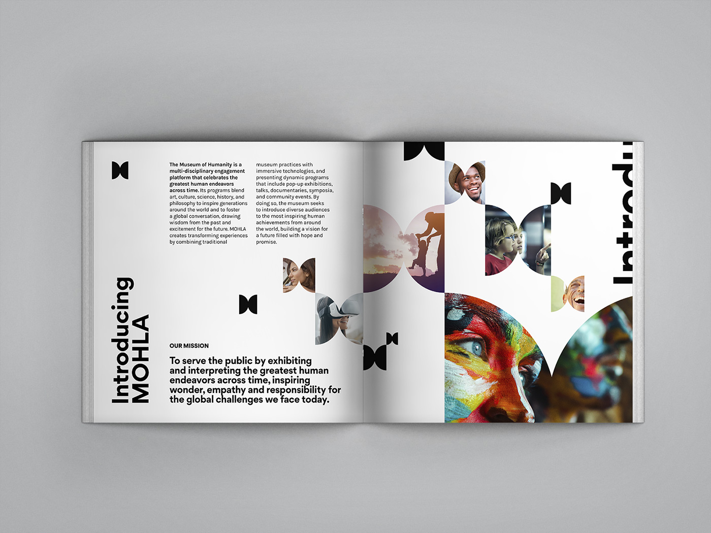 branding  logo brand identity brand style guide museum strategy brochure Los Angeles butterfly museum branding