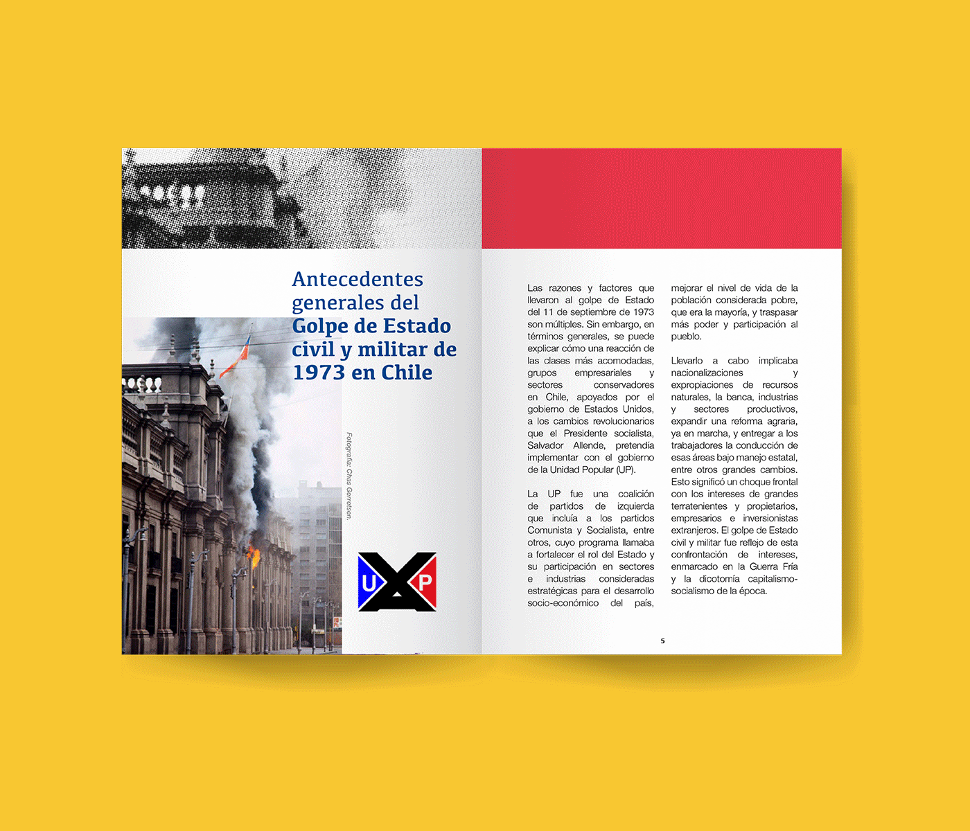 editorial design  ILLUSTRATION  graphic design  Education monument Human rights book Layout editorial