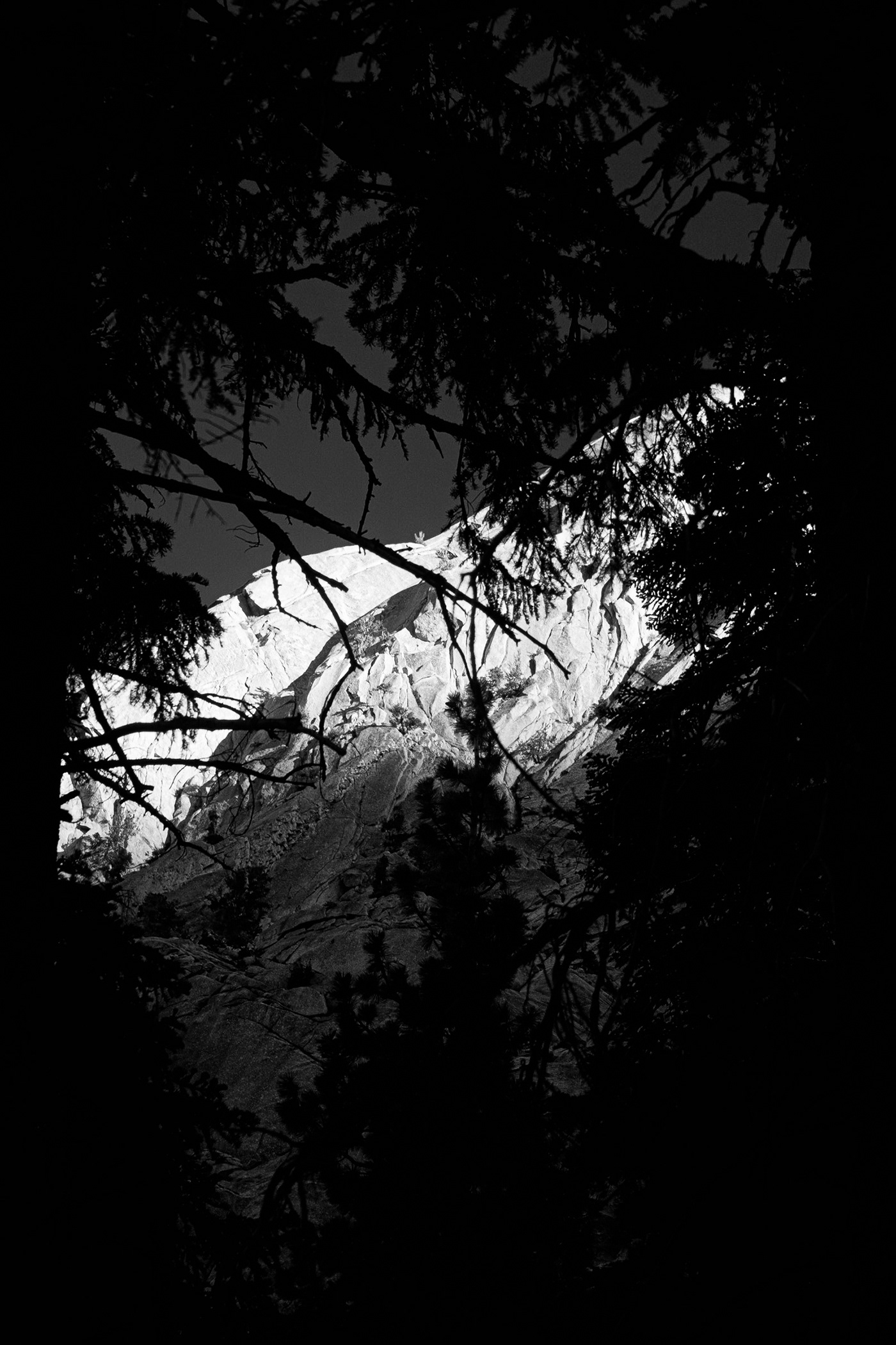 Photography  Landscape mountain forest trees black and white ansel adams