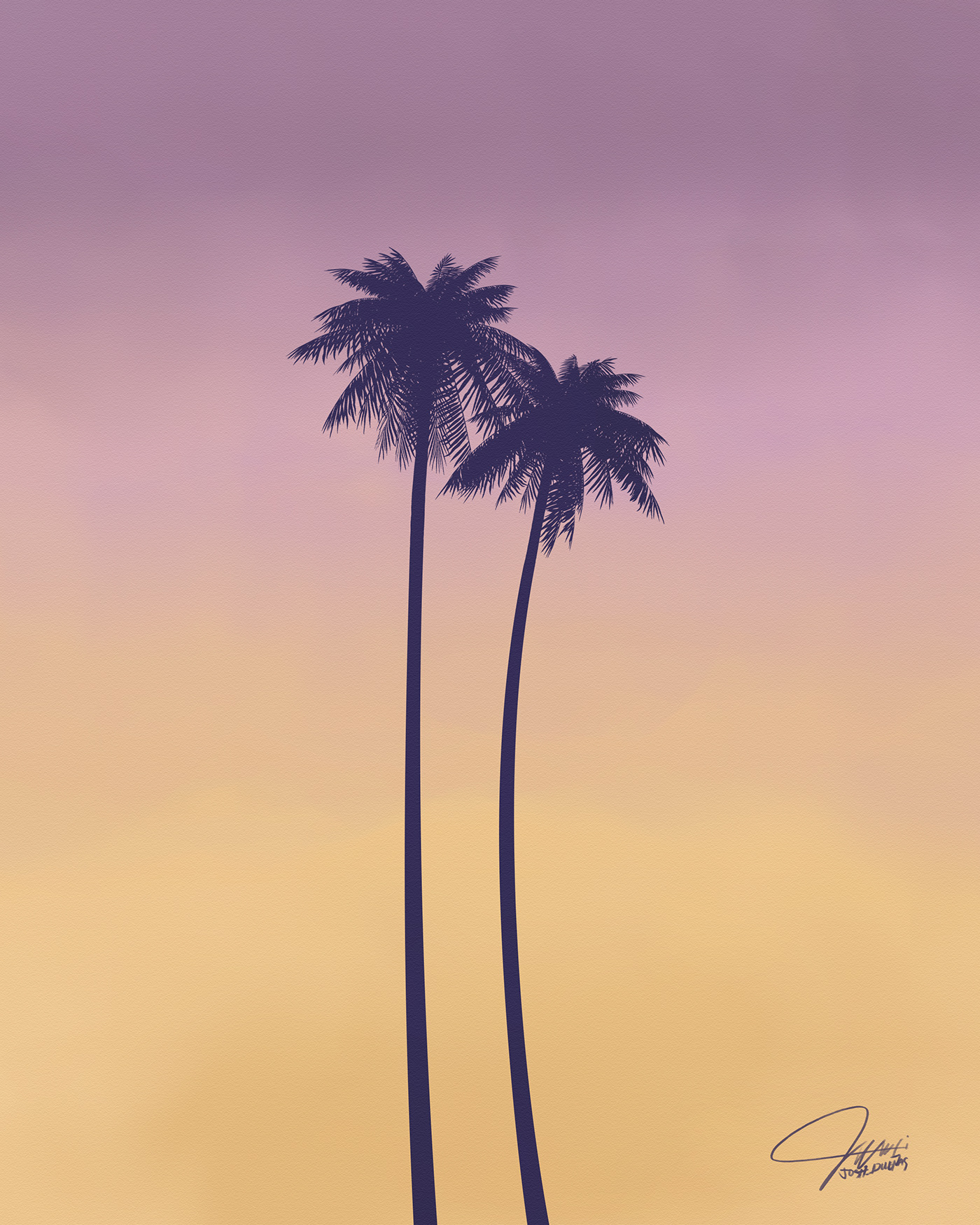 beach Palm Trees SKY summer sunset