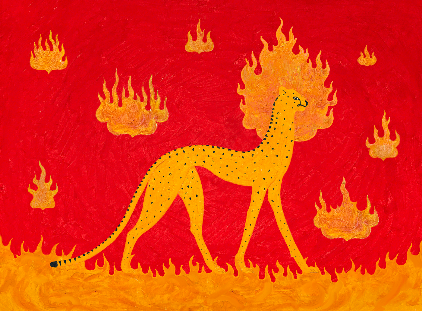 Cheetah in a red background