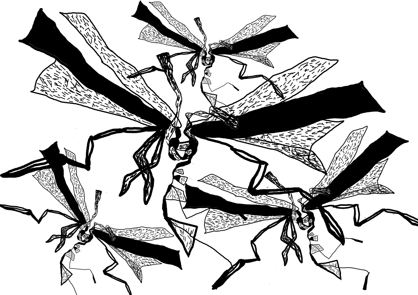 cartoon animation  graphic black White Insects exotic
