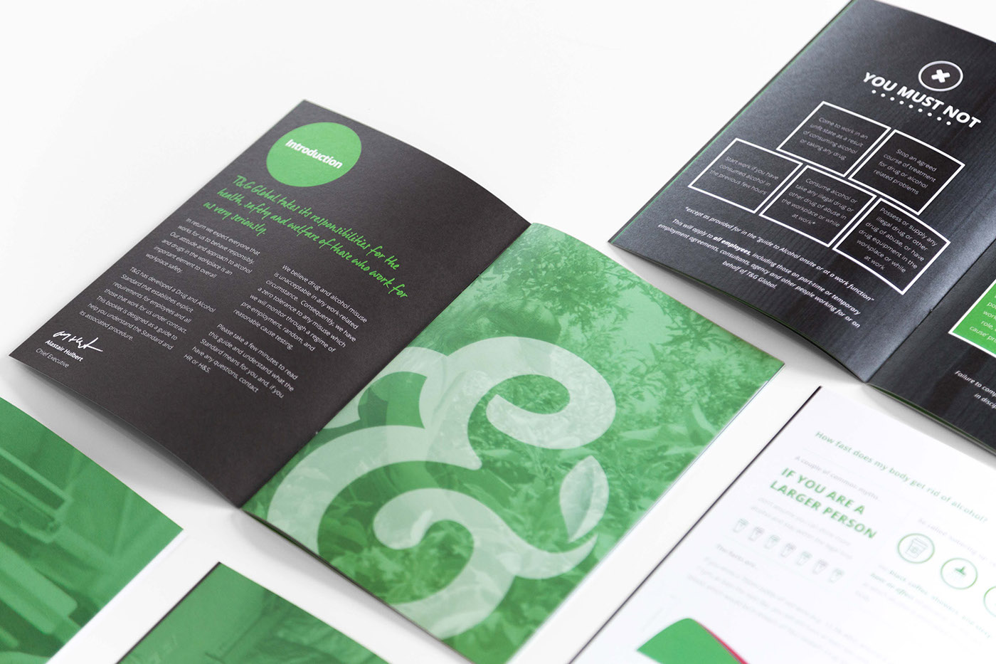 Booklet Layout Design InDesign publication typography   graphic infographic