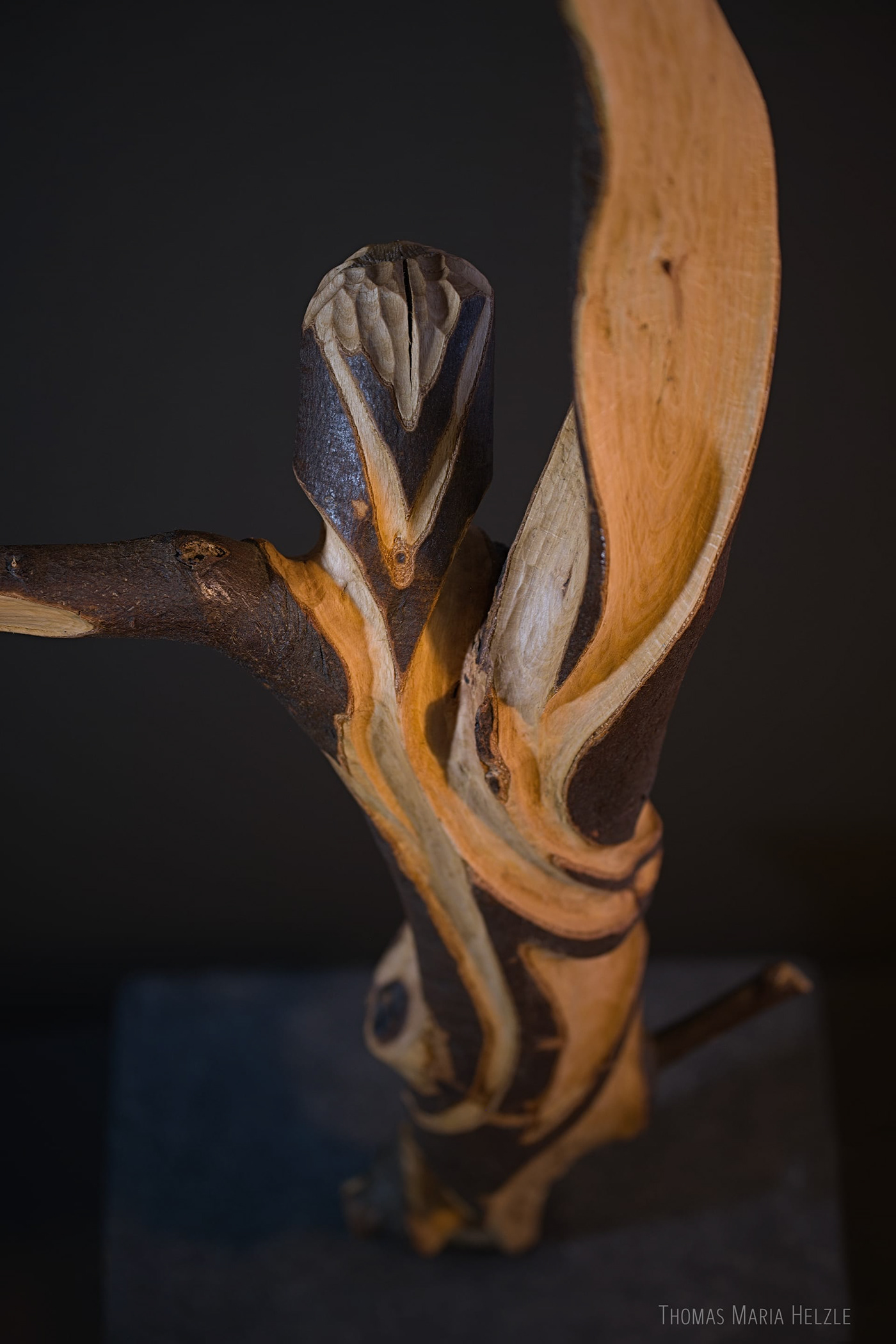 The Dancer sculpture seen from behind on a dark grey background. Beech wood.