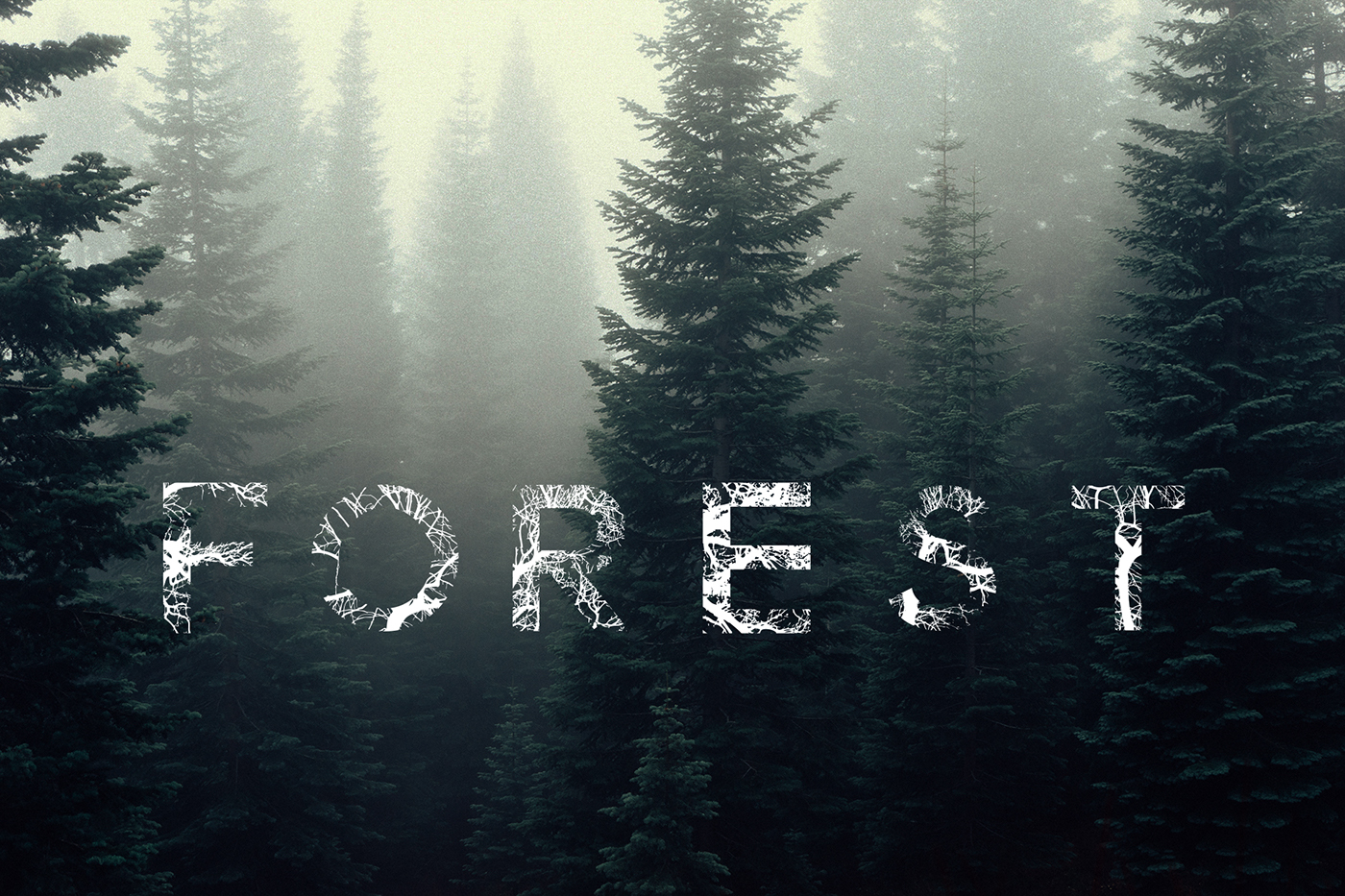 type forest Tree  free freebie