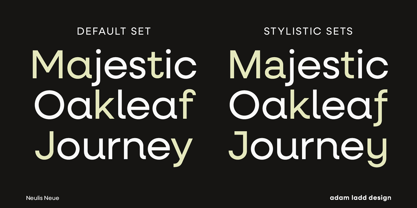 typeface design typefaces type design fonts Fonts in Use graphic design  typography   branding  adam ladd design geometric sans