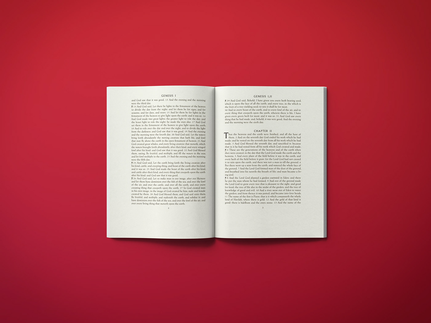book design bible Layout format typography   type font traditional book print