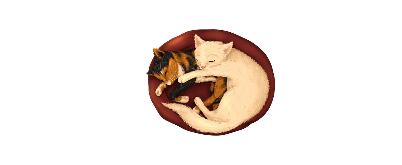 Illustration from the children's book about cats, sleeping cats