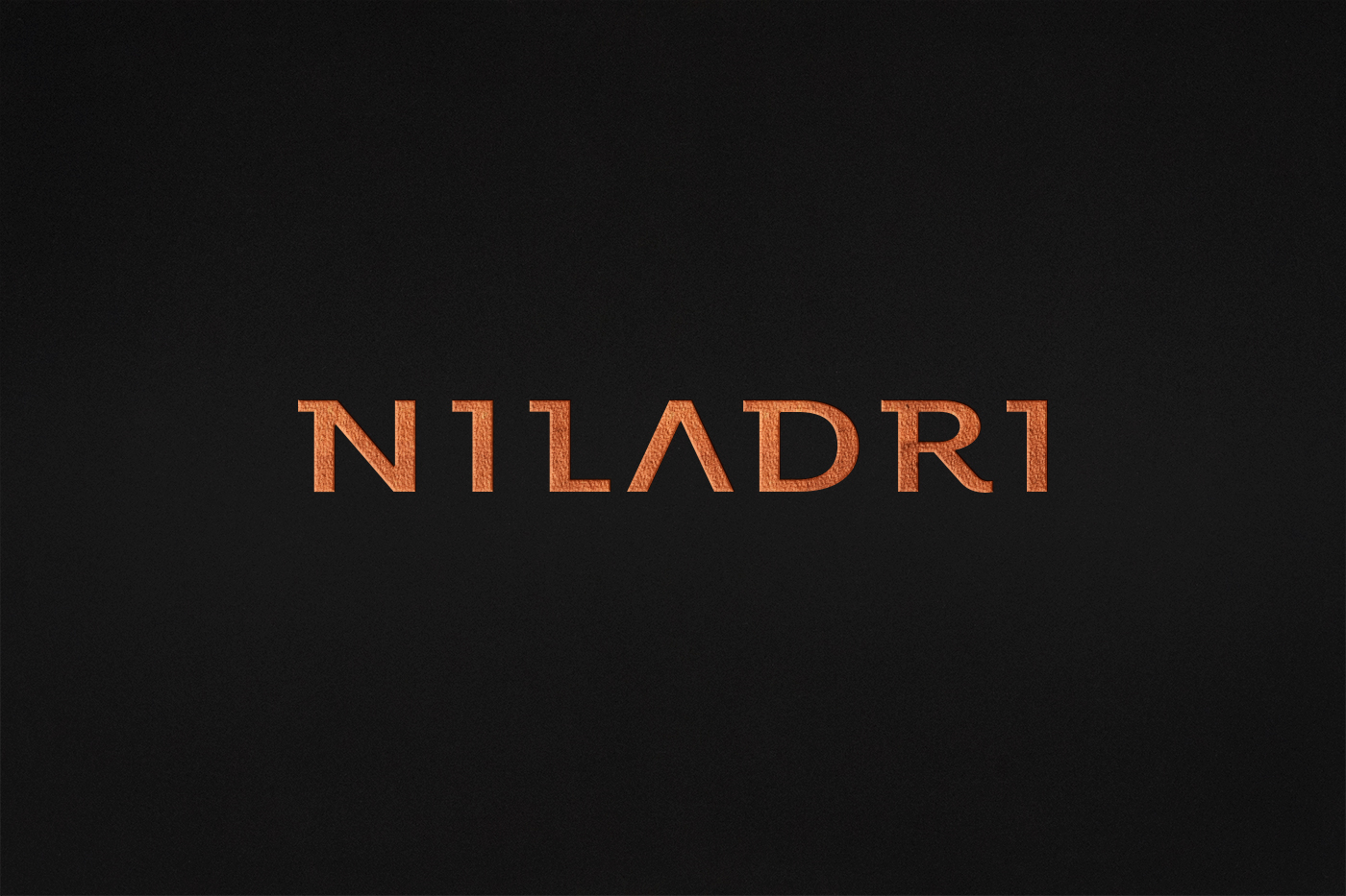 Niladri brand logo graphic design