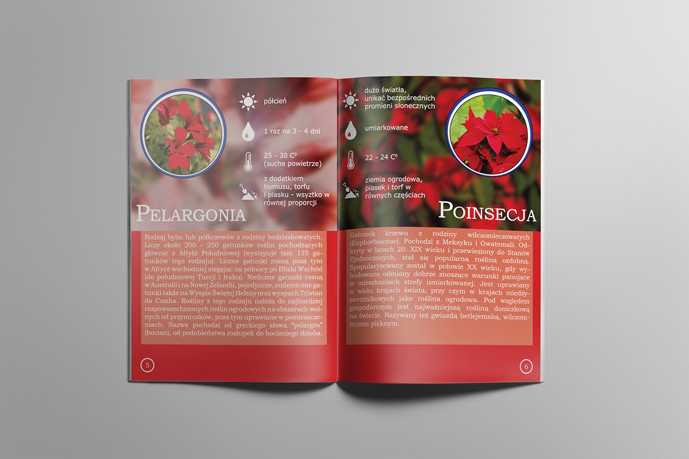 Booklet plants print imposition InDesign housplant flower home advertisement