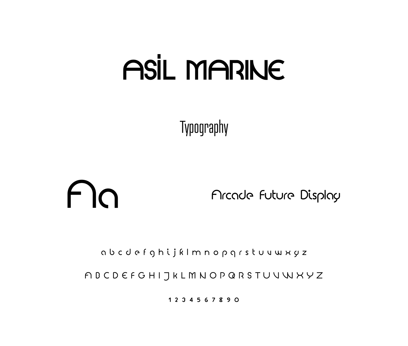 asil asil marine branding  Logistics logo Logo Design shipping studiorekk Transport tunc budak