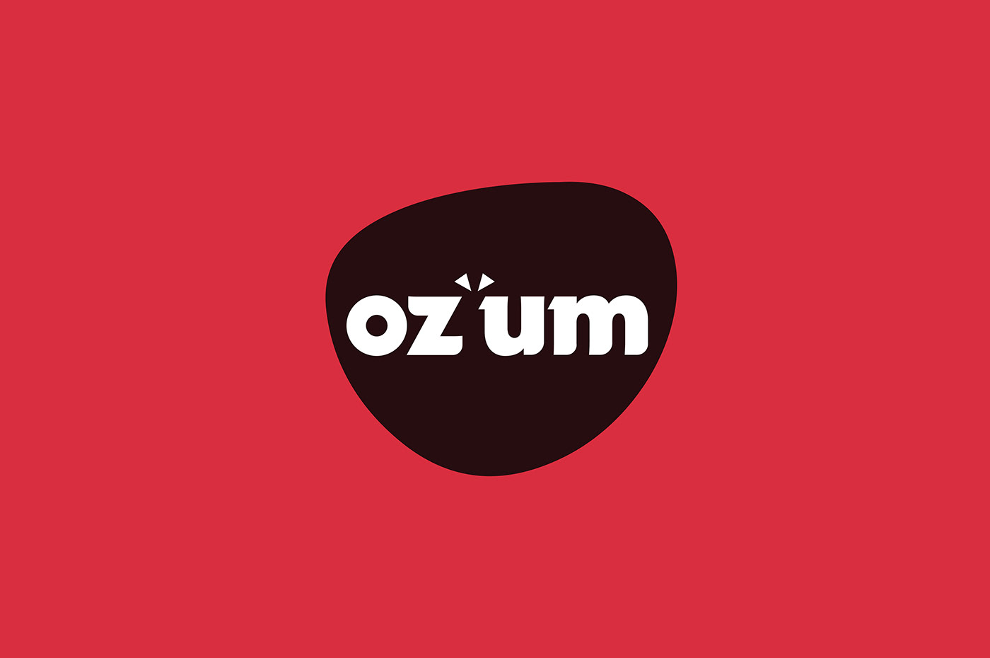 brand identity branding  digital marketing Logo Design ozum Social media post