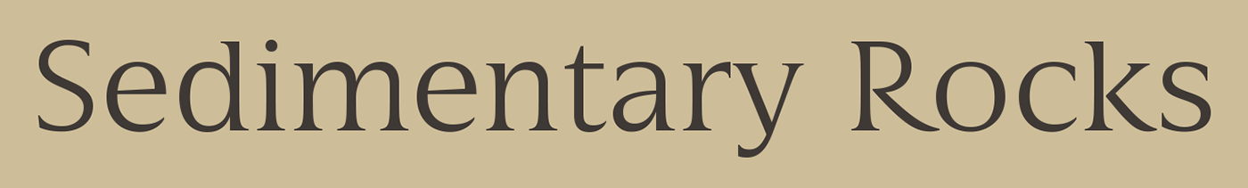 font capitalis monumentalis serif DSType Typeface contemporary