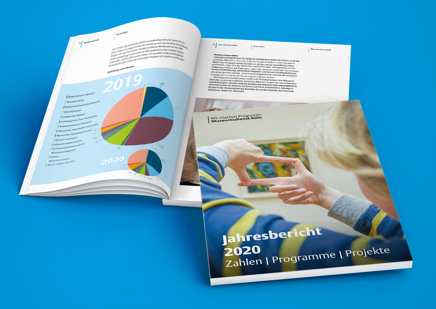 annual report brand identity brochure data visualization design editorial infographic Layout print