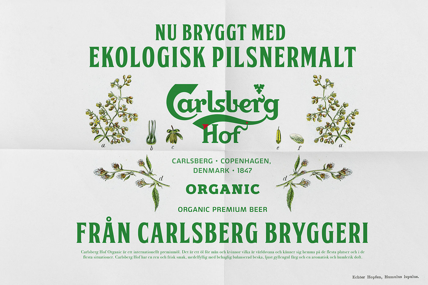 Carlsberg Carlsberg Hof organic organic beer ekologisk Ekologisk Öl beer design beer