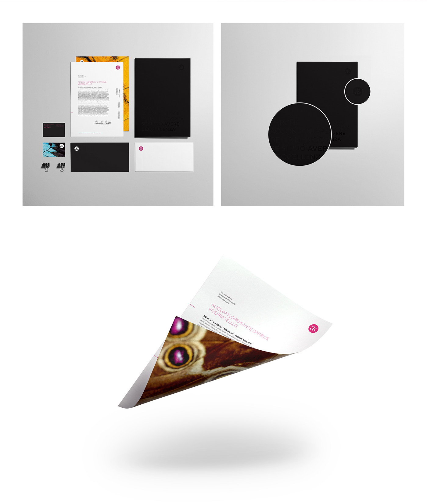 branding  graphic design  Make Up art direction  visual identity