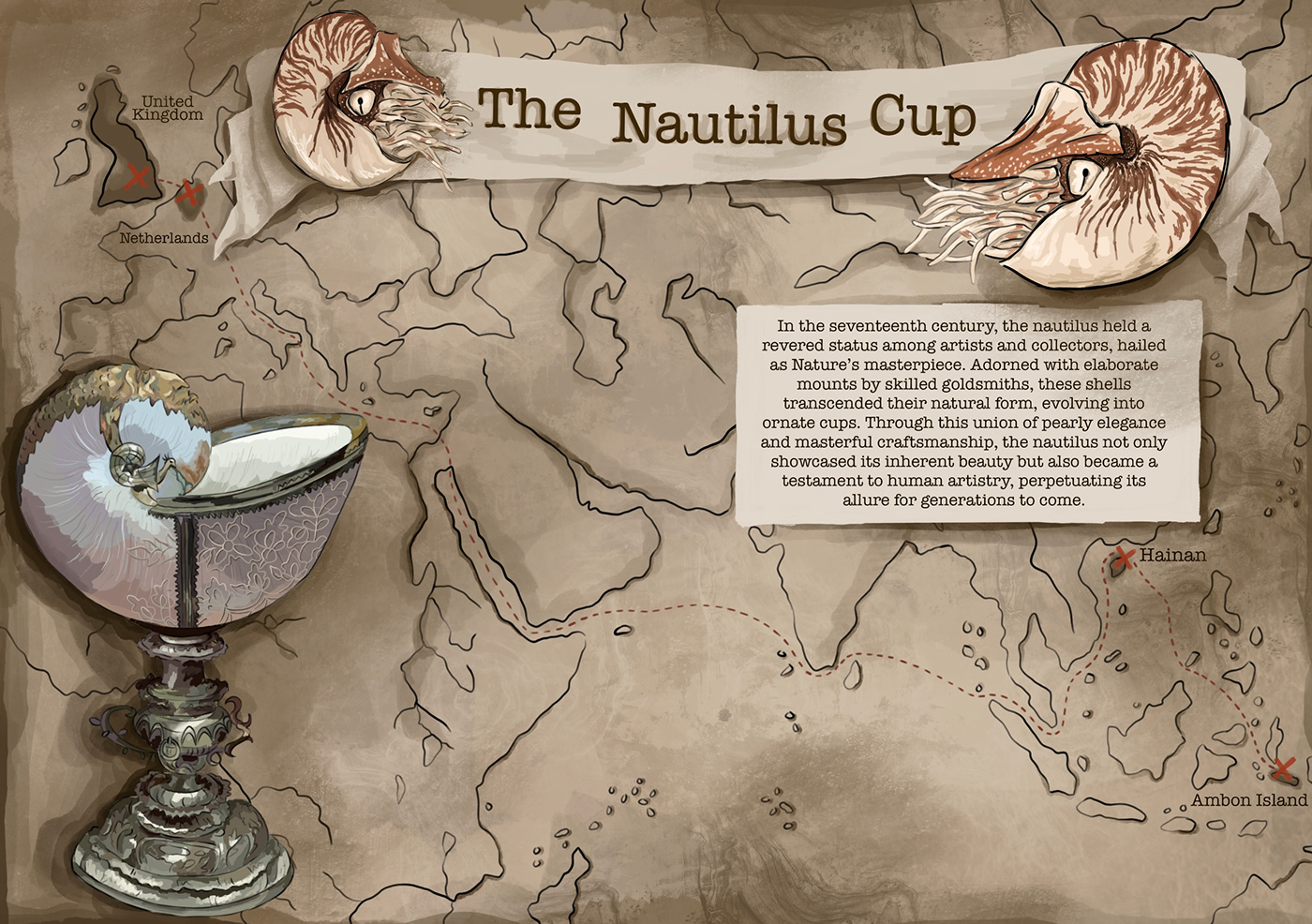 Nautilus fish