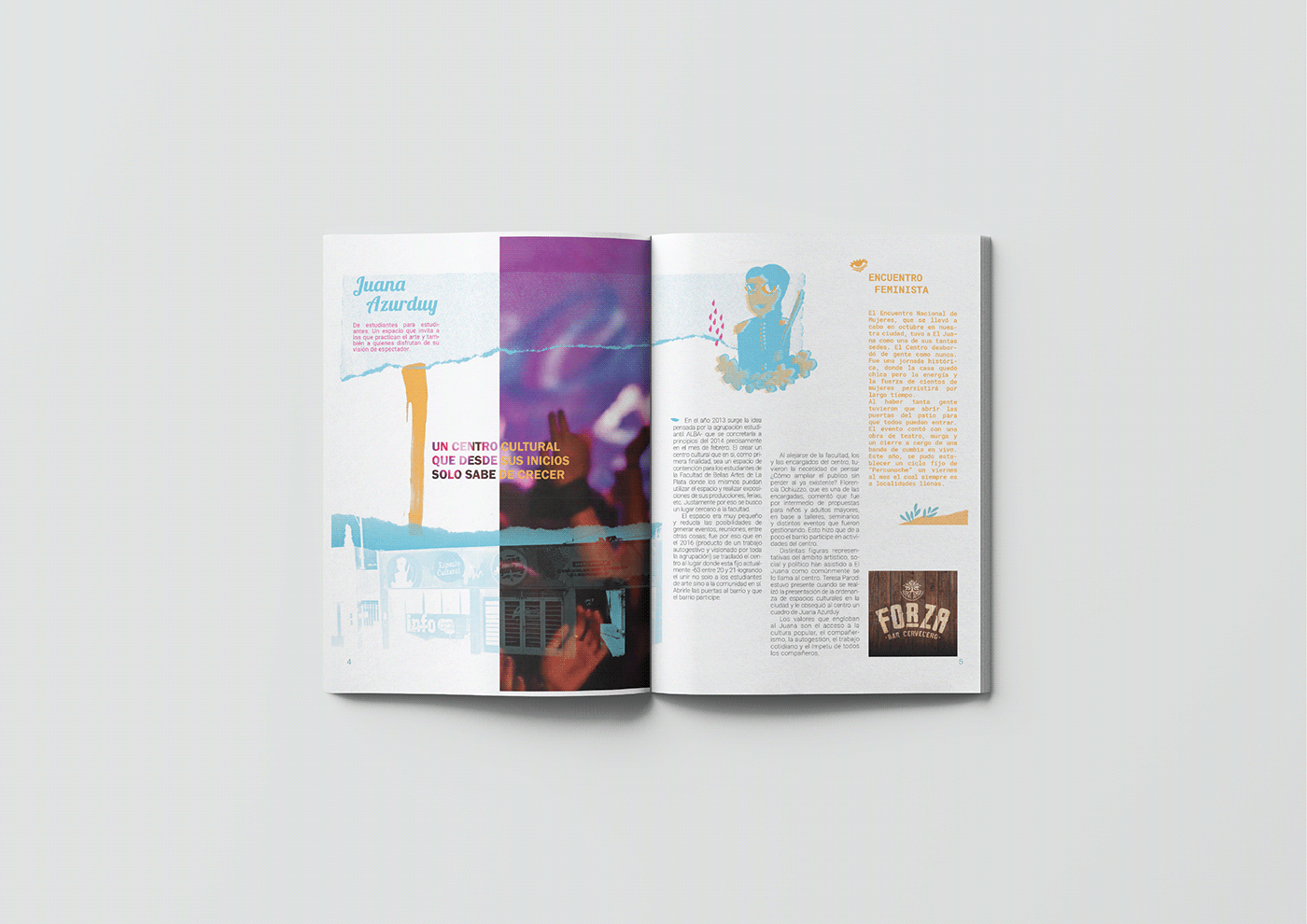 Diseño editorial revista UNLP