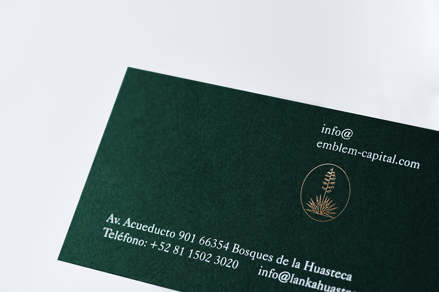 anagramastudio Lanka emblemcapital mexico huasteca yucca Nature splatters realestate branding 