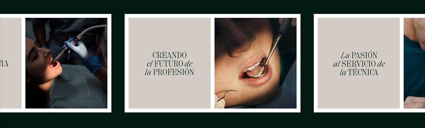 art direction  brand identity branding  clinic dental ILLUSTRATION  medical premium typography   visual identity