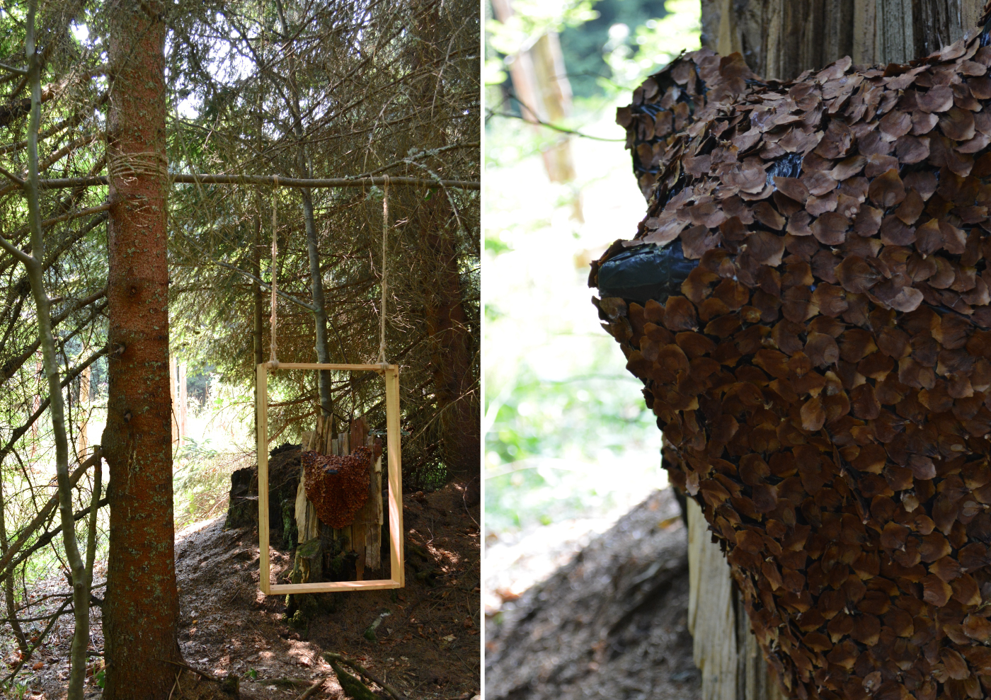 Experiential design installation forest
