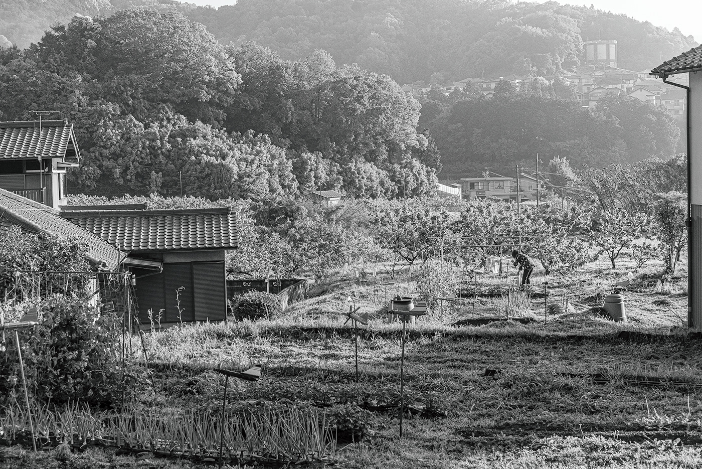 black and white countryside japan monochrome Nara Prefecture road Wakayama Prefecture