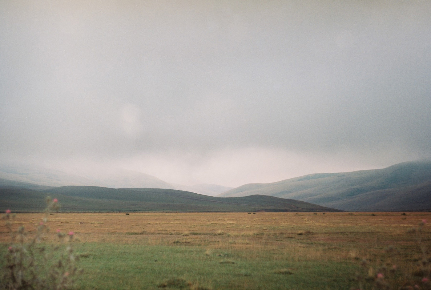 analog Photography  Film   35mm Nature Landscape fog grain