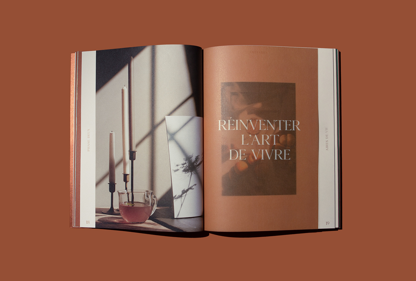 book branding  brochure design editorial graphic design  Layout logo magazine visual identity