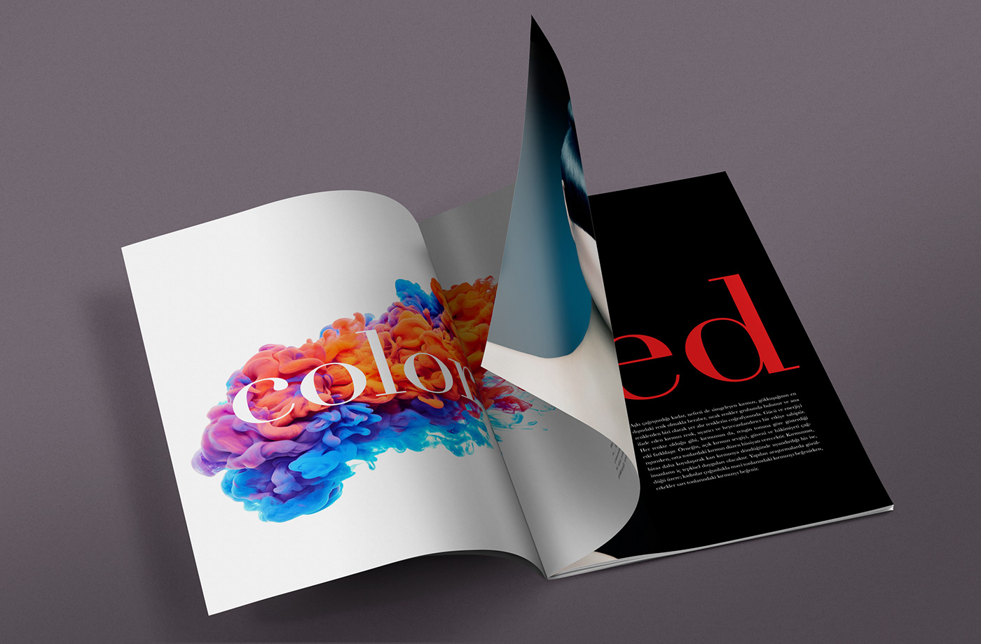 book magazine brochure editorial editorial design 