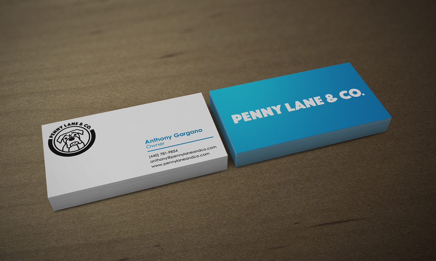 identity branding  Packaging print Logo Design design dog