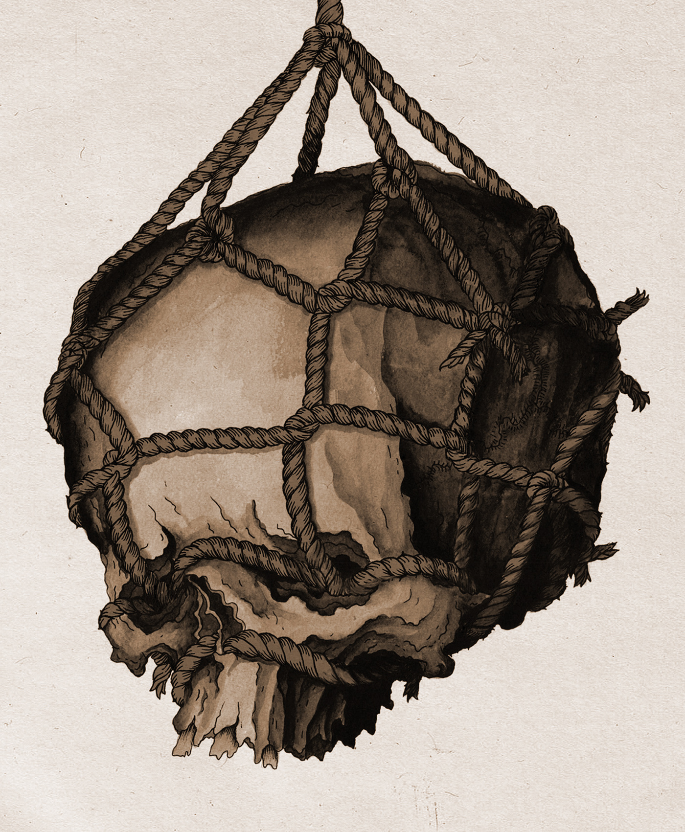 darkart draw Drawing  FINEART inkonpaper rope skull tattoo traditionalart