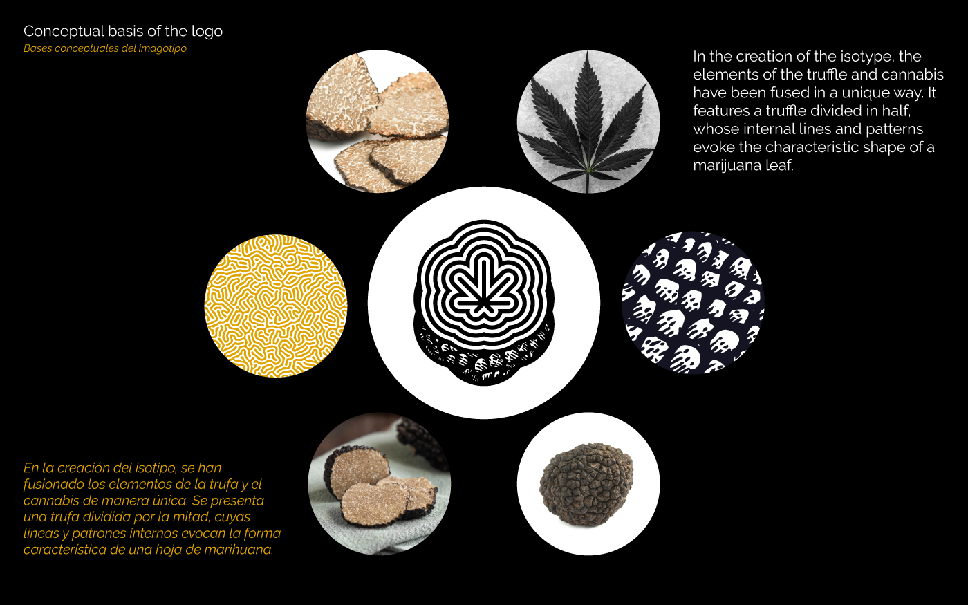 Cloud of concepts with images of truffles and marijuana leaves with truffle strains logo