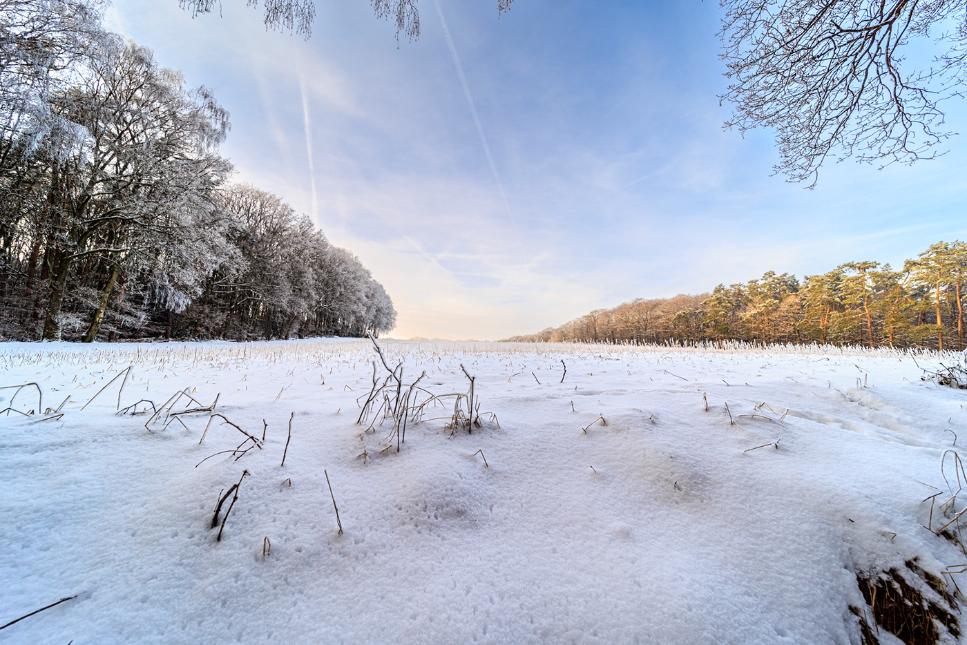 outdoors Nature Photography  Landscape snow winter