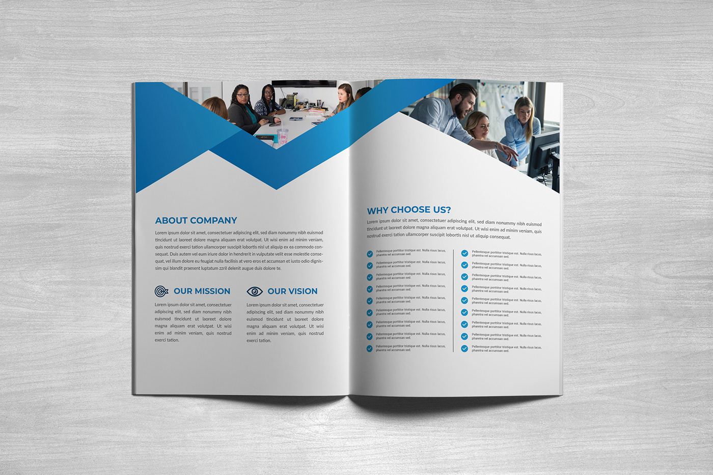 Annual Report, Brochure Design, Company profile Brochure Design,  White Paper, InDesign