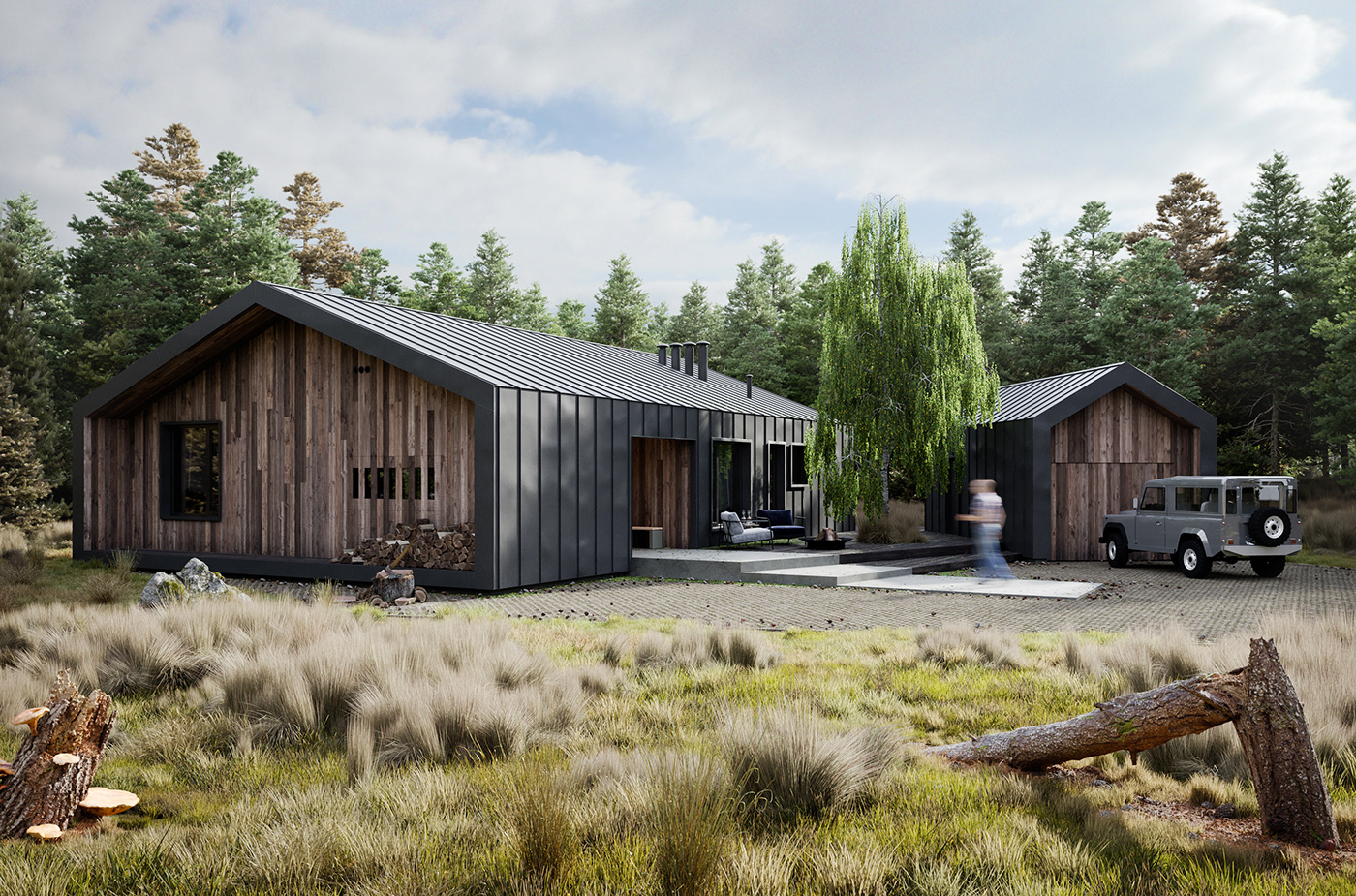 exterior Nature forest 3D architecture CG visulisation coronarenderer house